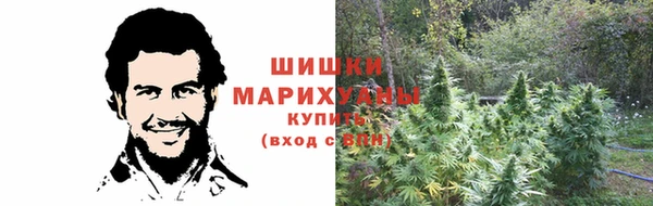 стаф Арсеньев