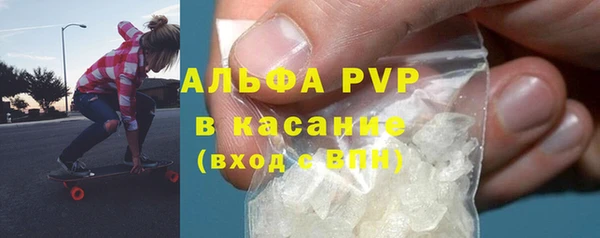 стаф Арсеньев