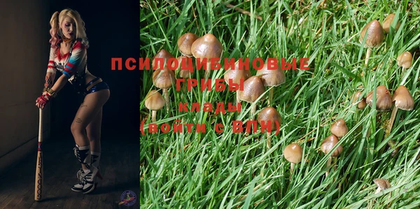 экстази Аркадак