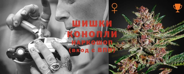 стаф Арсеньев