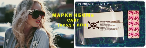 стаф Арсеньев